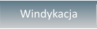 Windykacja